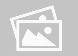 denise dutton sculptor